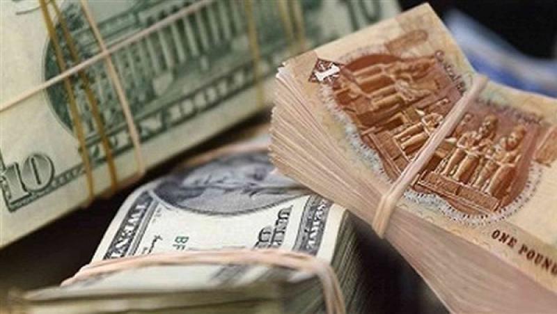 الدولار في مواجهة الجنيه وسياسة تحرير سعر الصرف