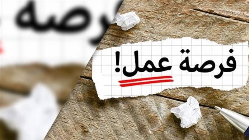 فرص عمل متاحة للمصريين في البوسنة والهرسك.. موعد المقابلات الشخصية للمتقدمين